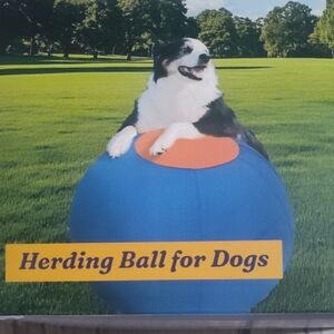 Vibrant Blue and Orange Dog Herding Ball